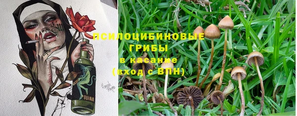 амф Краснотурьинск