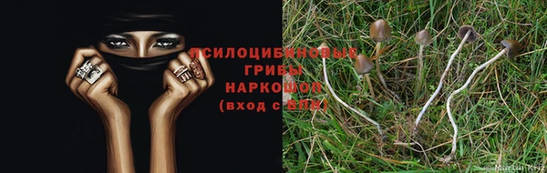 spice Кулебаки