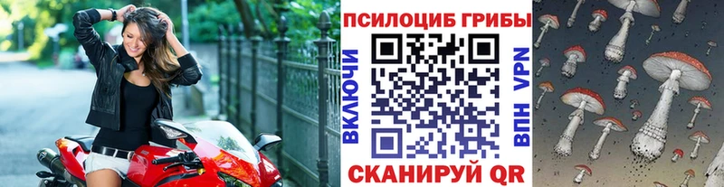 Галлюциногенные грибы GOLDEN TEACHER Кольчугино