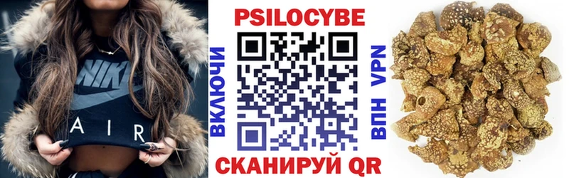 что такое наркотик  Кольчугино  Галлюциногенные грибы прущие грибы 