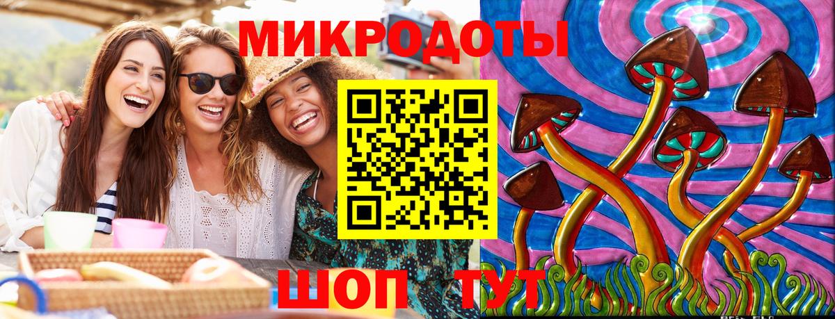 Галлюциногенные грибы Psilocybine cubensis  Вход с VPN  Кольчугино 