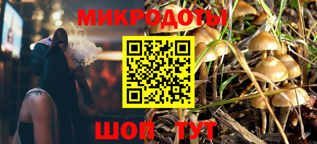 Галлюциногенные грибы Psilocybine cubensis  наркошоп  Кольчугино 