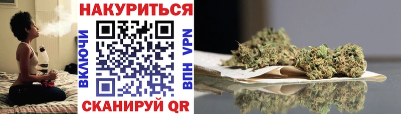 где продают Кольчугино Конопля тримм