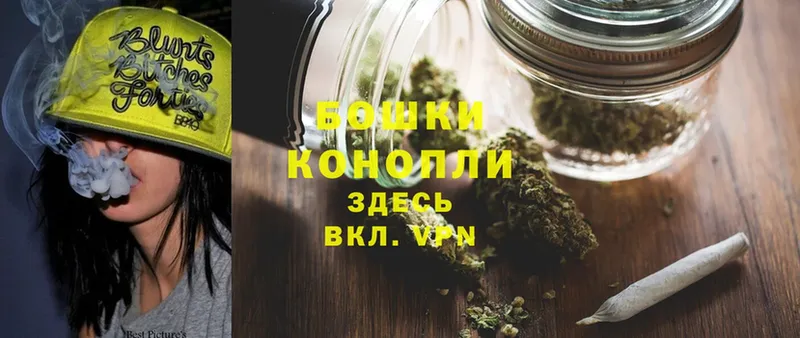 Бошки марихуана Ganja  как найти закладки  Кольчугино 