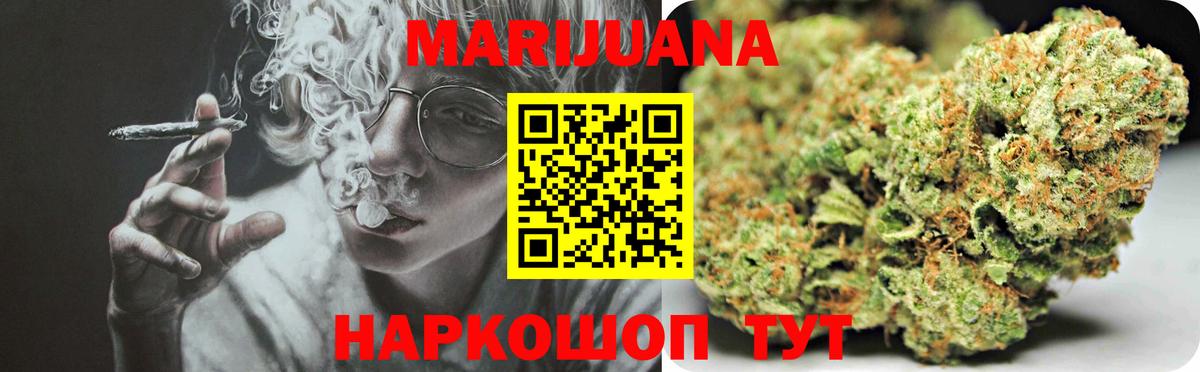Конопля конопля Кольчугино