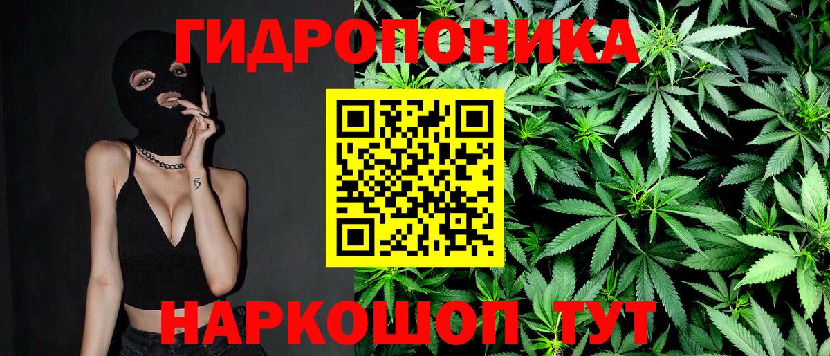 Каннабис гибрид  Конопля Bruce Banner  Кольчугино  Конопля гибрид 
